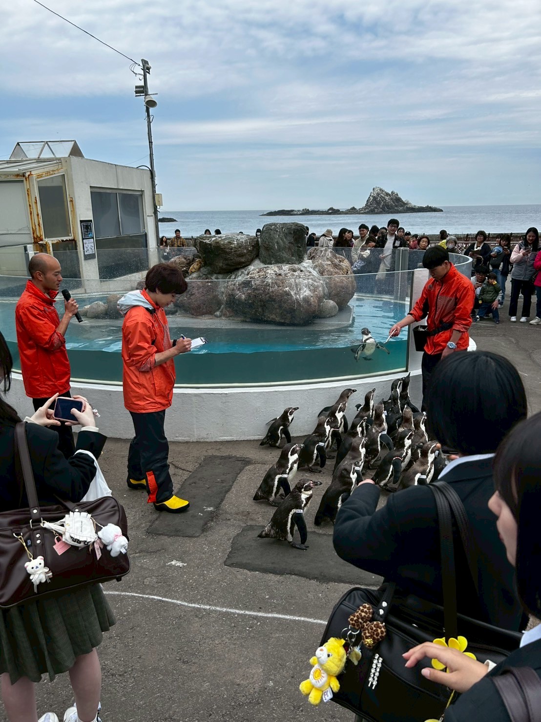 LINE_ALBUM_修学旅行３日目（小樽水族館）_250509_3