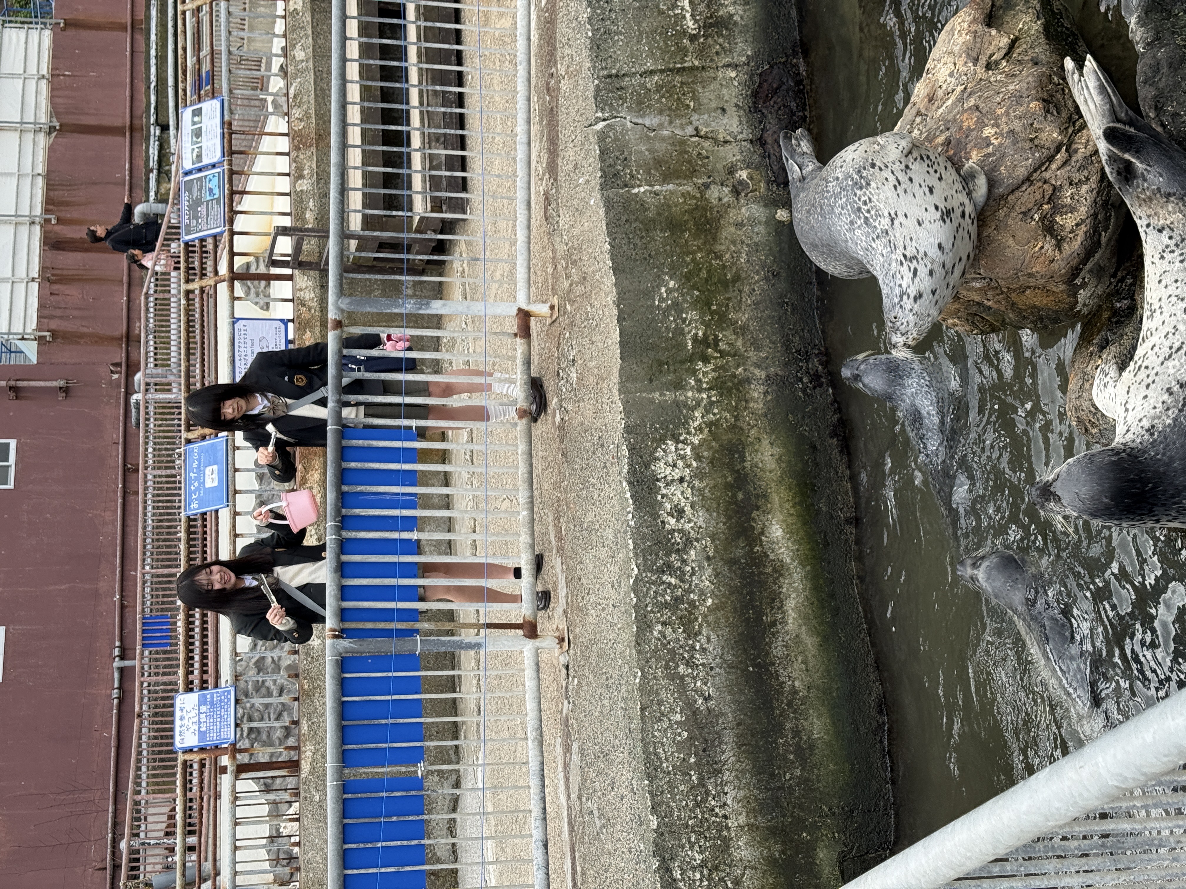 LINE_ALBUM_修学旅行３日目（小樽水族館）_250509_5