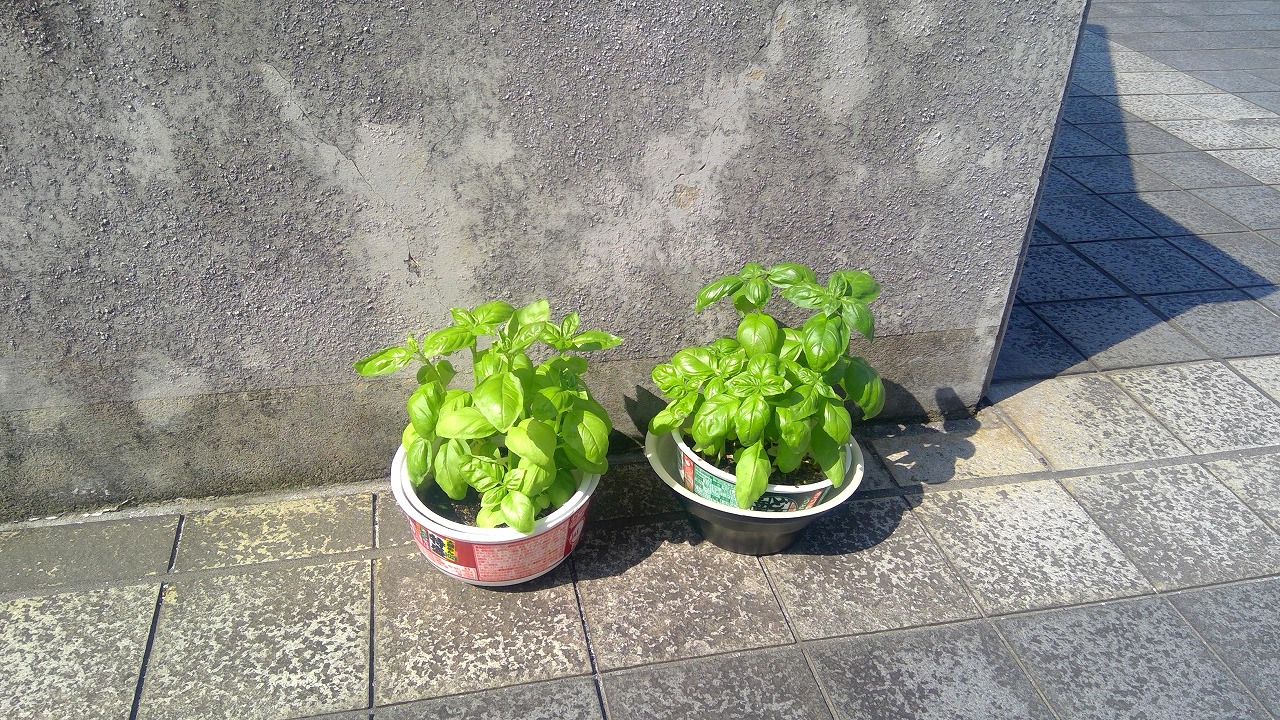 WIN_20250617_15_13_53_Pro