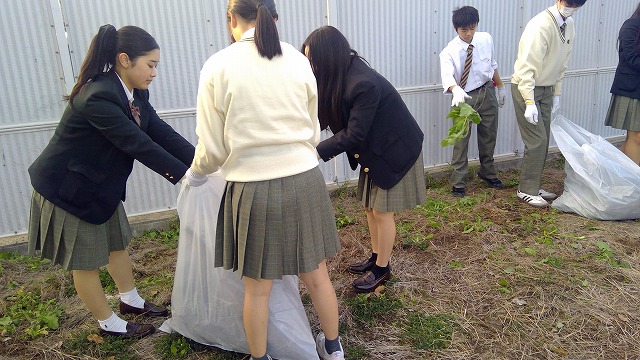 WIN_20251110_16_22_32_Pro