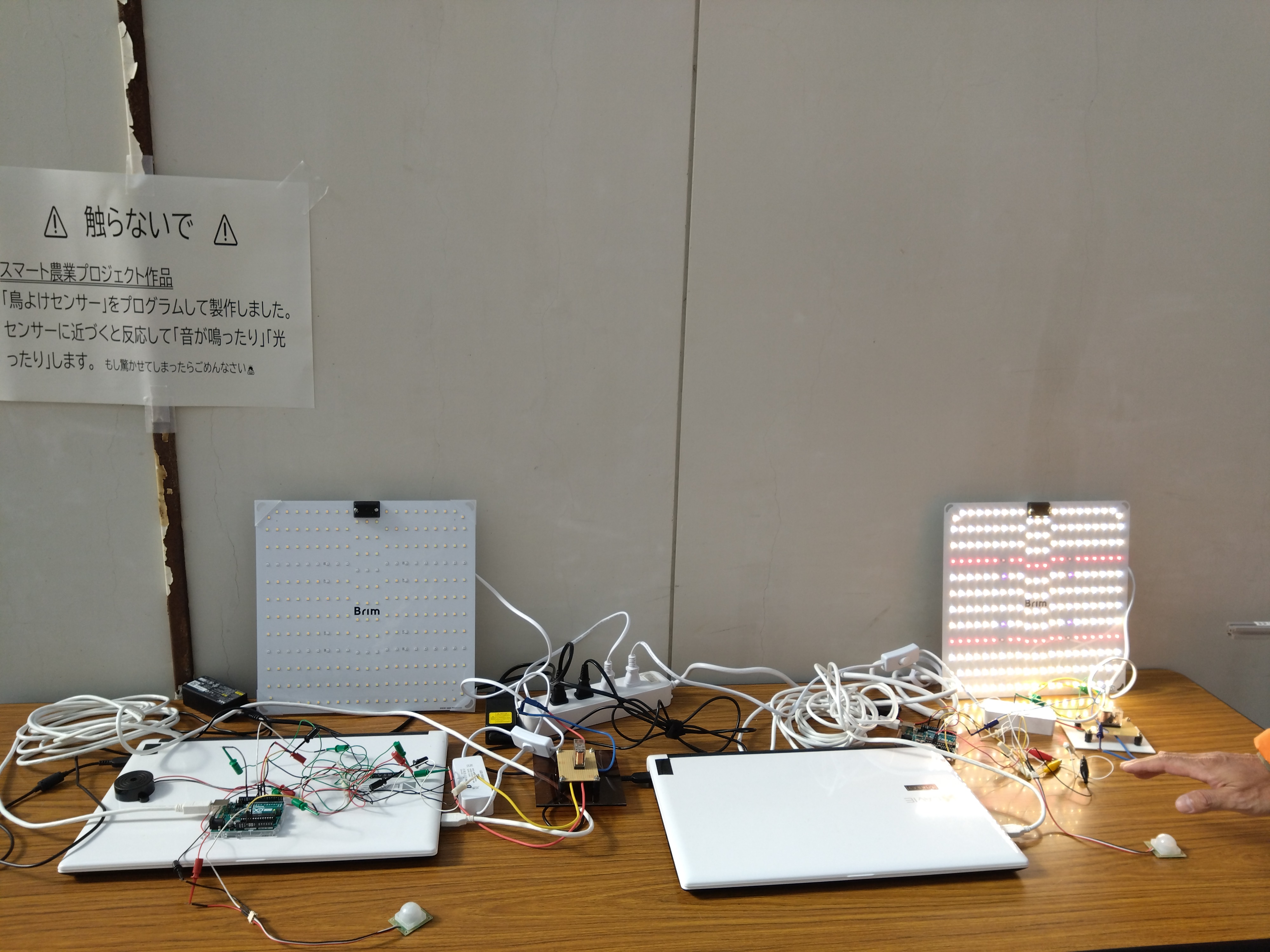 DSC_0001_BURST20251122111624996