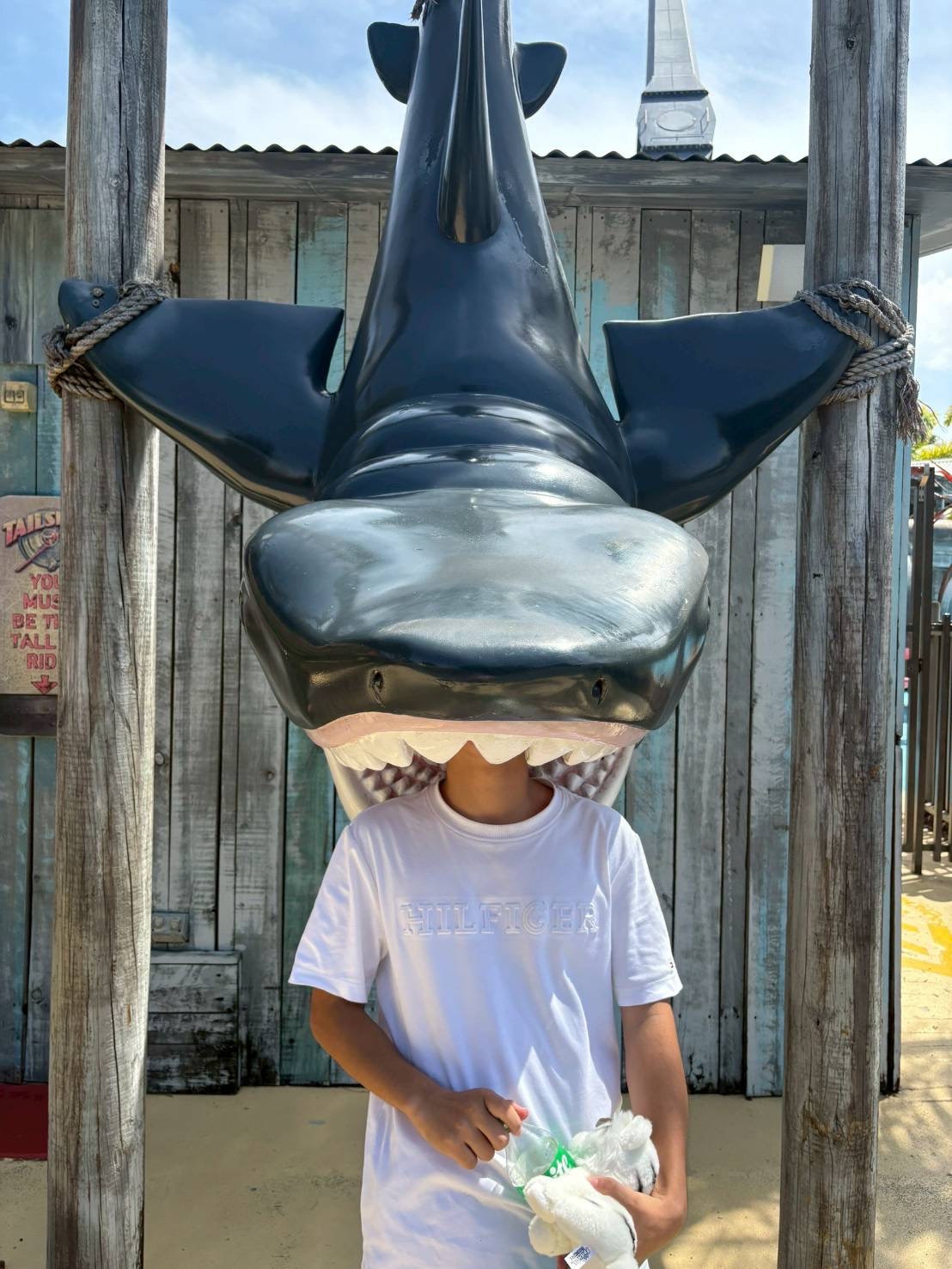 2025-12-15_18-02-02_442