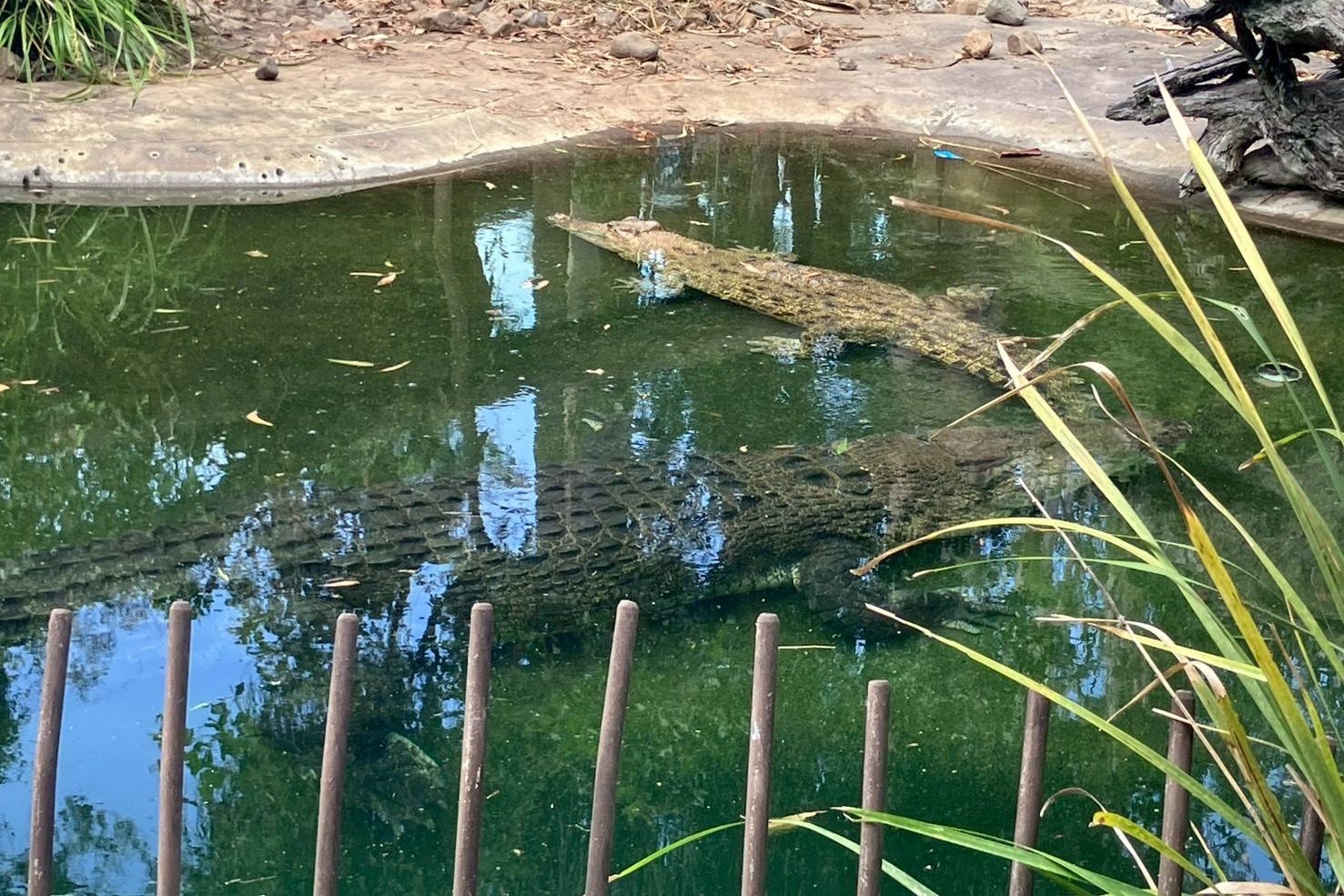 2025-12-15_18-02-16_311