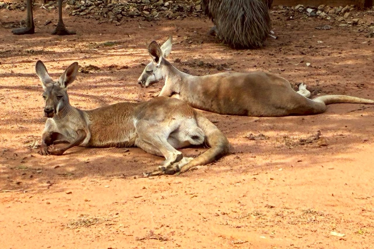 2025-12-15_18-09-34_476