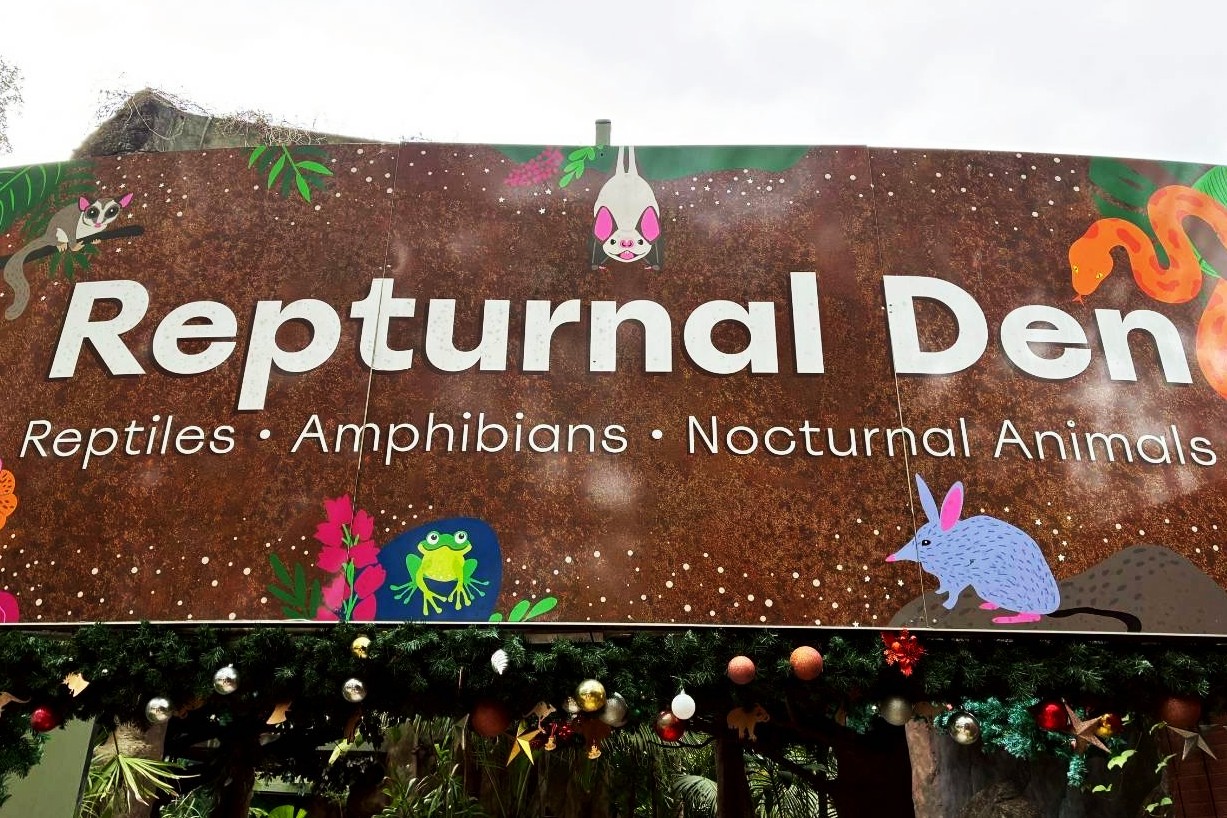 2025-12-17_17-44-29_378