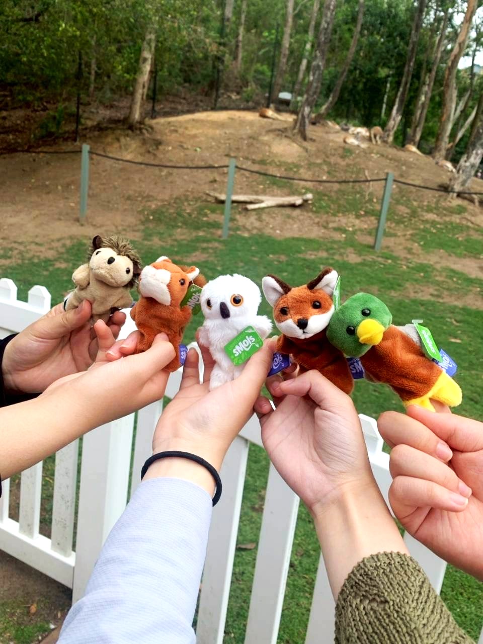 2025-12-17_17-44-31_667