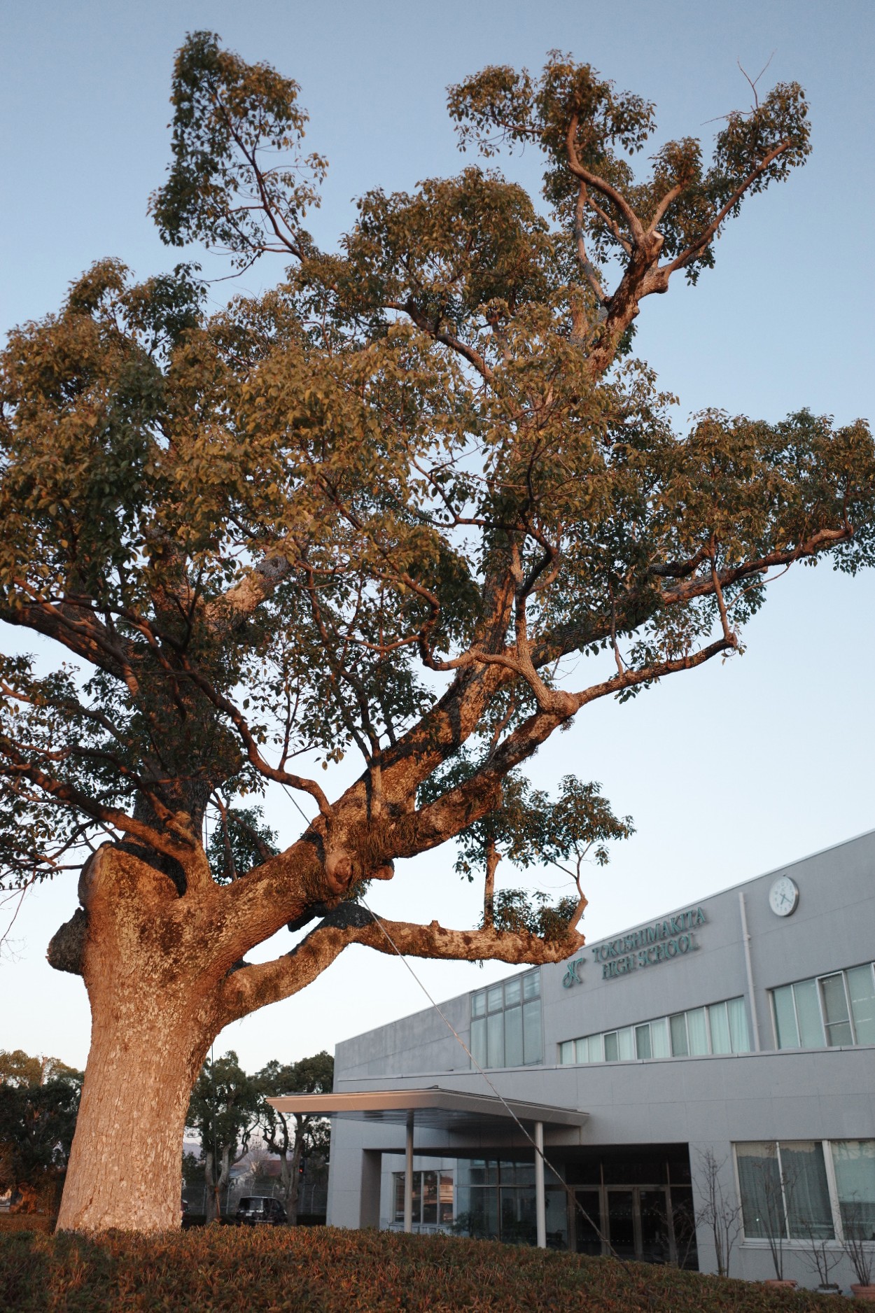 2026-01-13_07-21-09_000