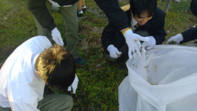 WIN_20260217_16_26_31_Pro