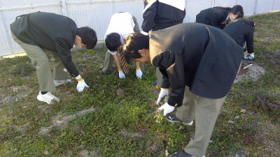 WIN_20260217_16_35_40_Pro