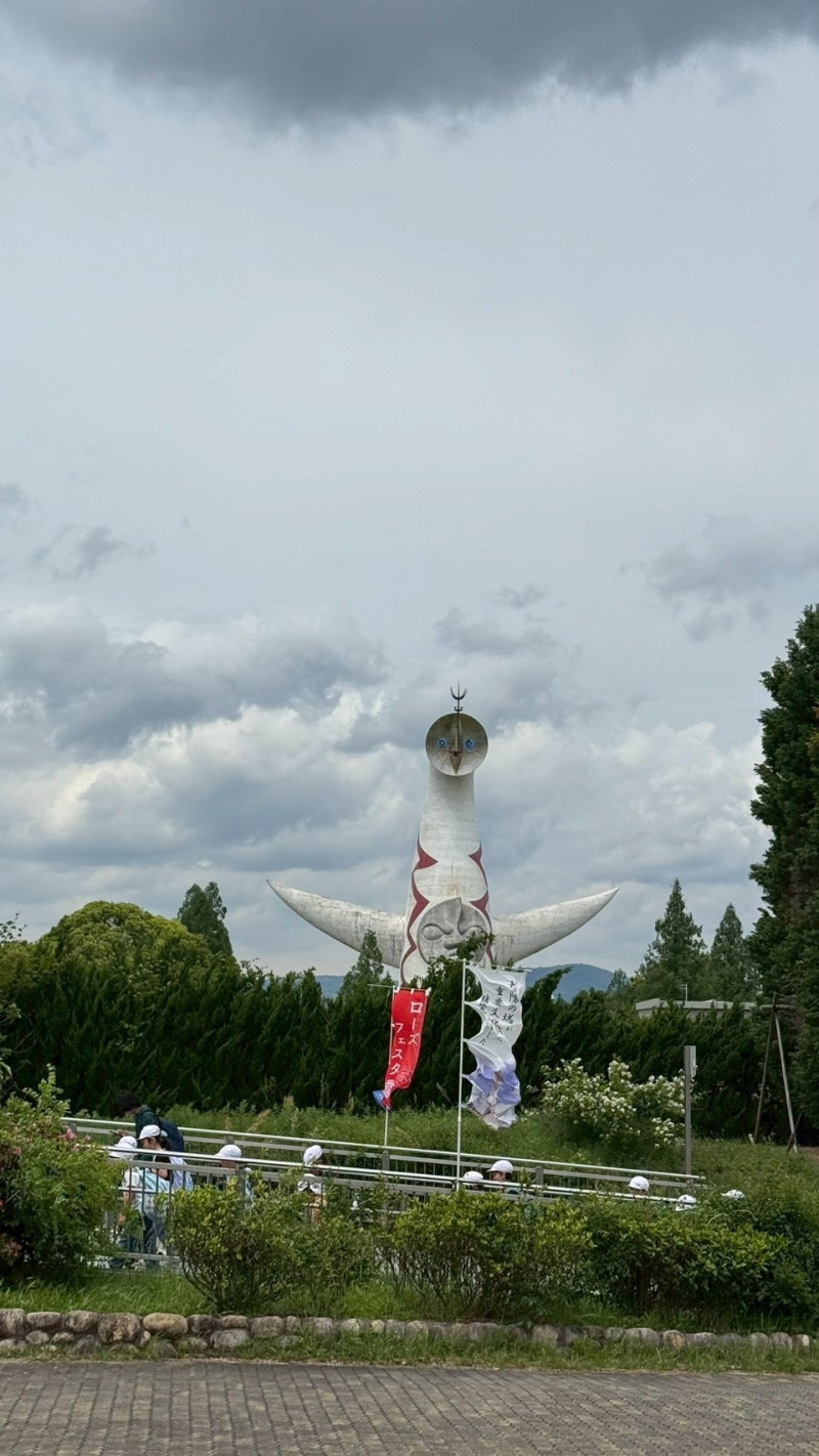 画像 -20260513-051029-47909b94