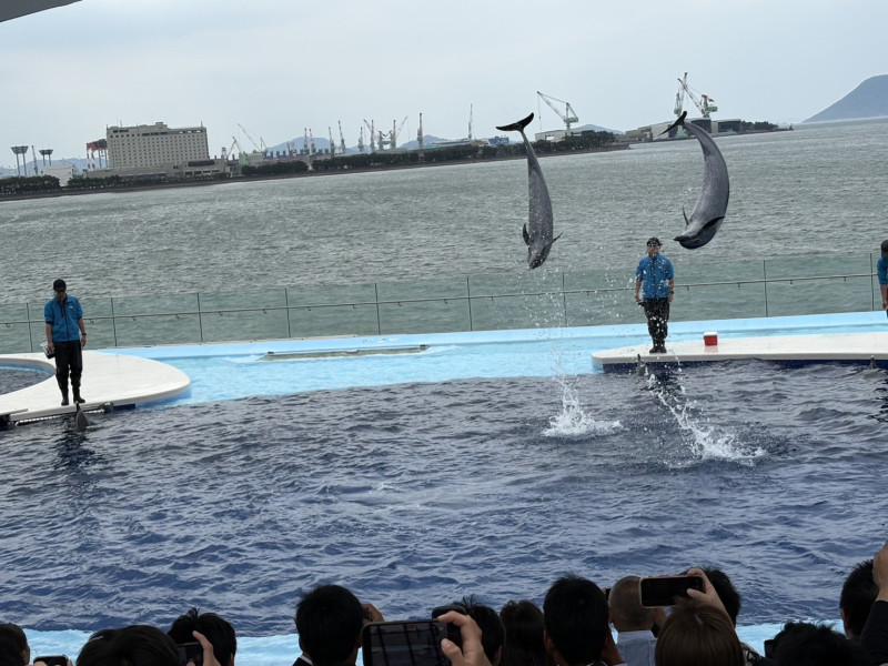 画像 -20260515-100937-dc4c3e1d