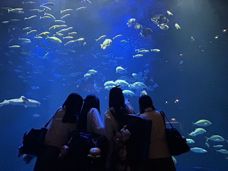 画像 -20260515-100937-18ab41cd